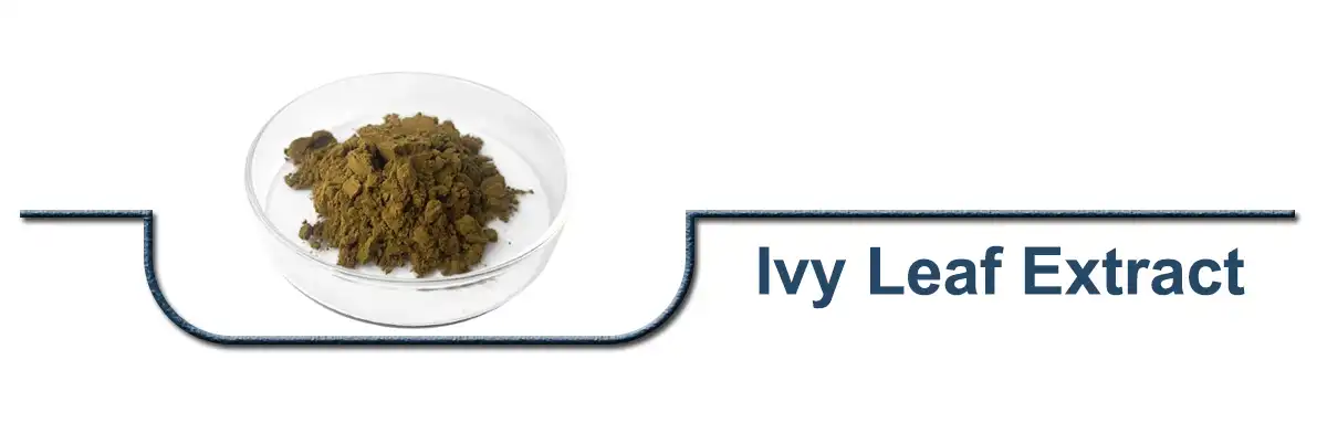 አይቪ ቅጠል Extract.jpg