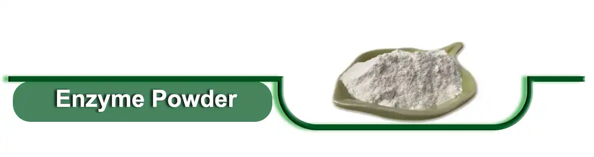 Enzyme.jpg