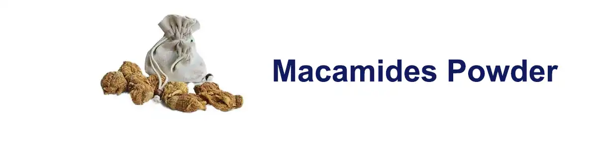 Macamides ሳሌር.jpg