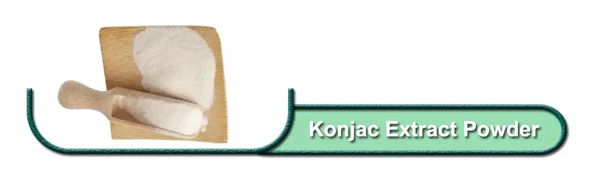 Konjac নির্যাস .jpg
