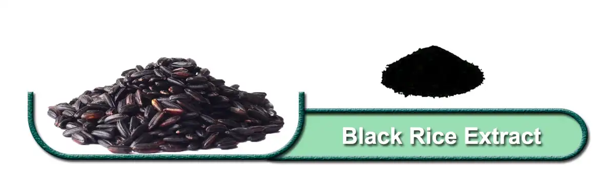 ጥቁር ሩዝ.jpg