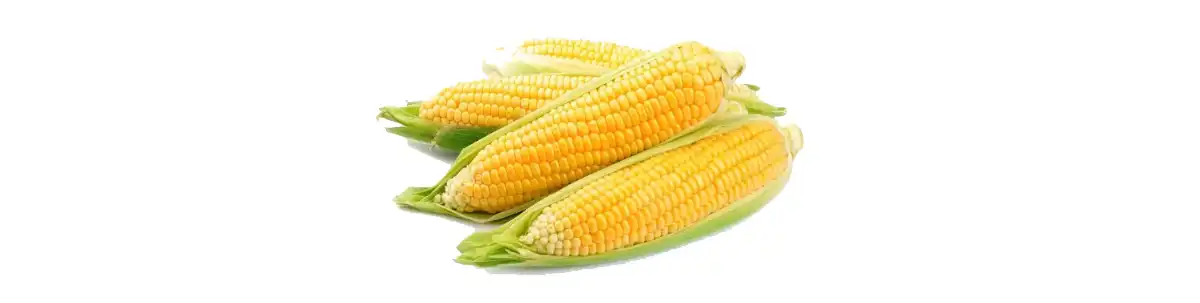 Kukuruzni peptid aaaaa.jpg