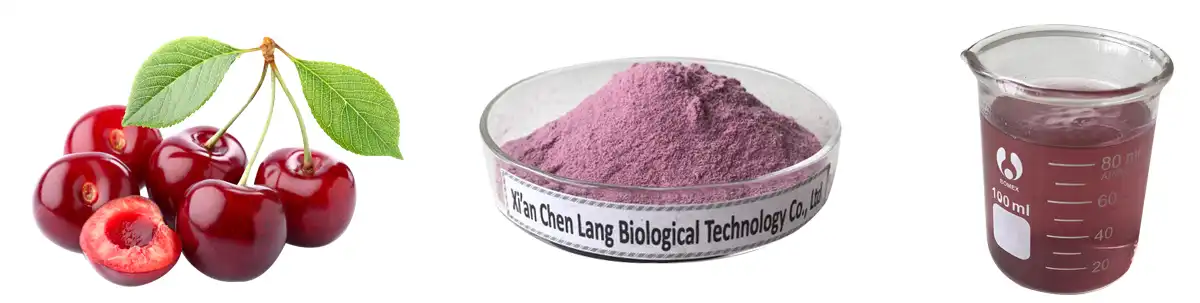 Tart Cherry Extract ዱቄት AAAAA.jpg