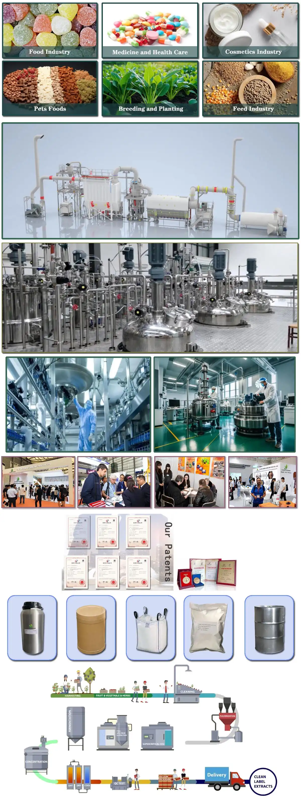 chenlang ALL.jpg chenlang ALL.jpg