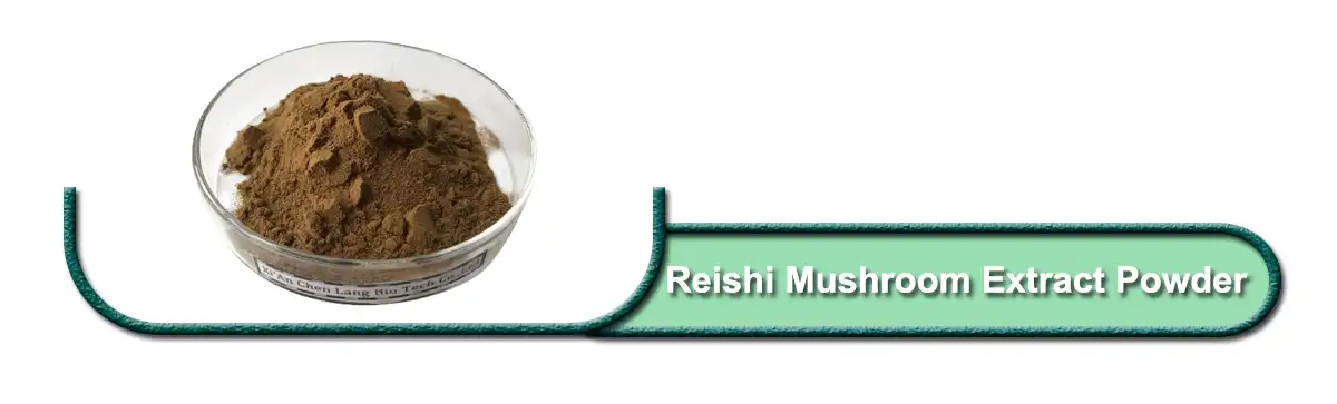 Reishi እንጉዳይ የማውጣት ዱቄት ፋብሪካ.jpg