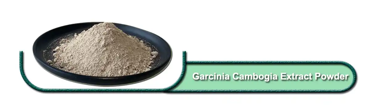 ጋርሲኒያ Cambogia Extract.jpg