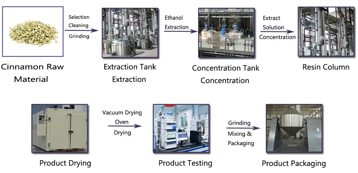 Tribulus Terrestris.jpg