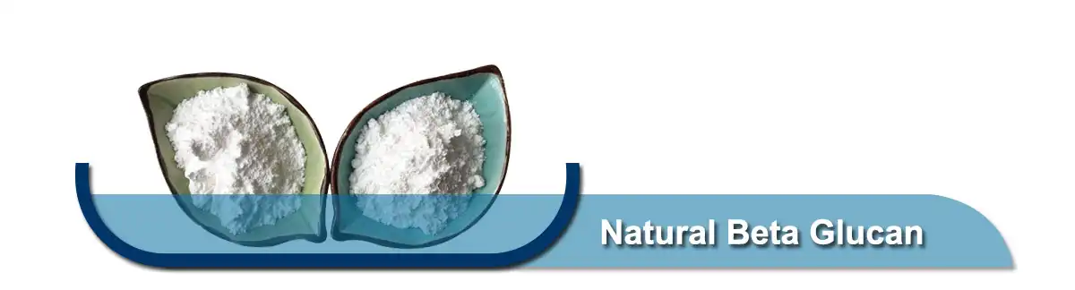 Prirodni beta glukan u prahu.jpg Prirodni beta glukan u prahu.jpg
