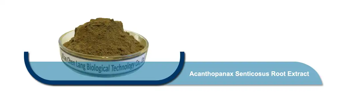 Acanthopanax Senticosus ሥር .jpg