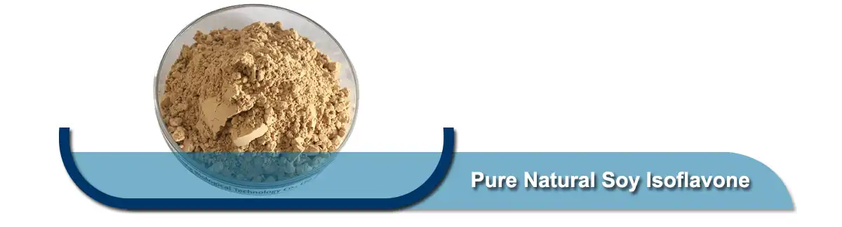ንጹህ የተፈጥሮ አኩሪ አተር Isoflavone.jpg