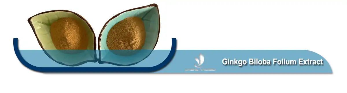 Ginkgo Biloba Folium Extract πούδρα.jpg Ginkgo Biloba Folium Extract πούδρα.jpg