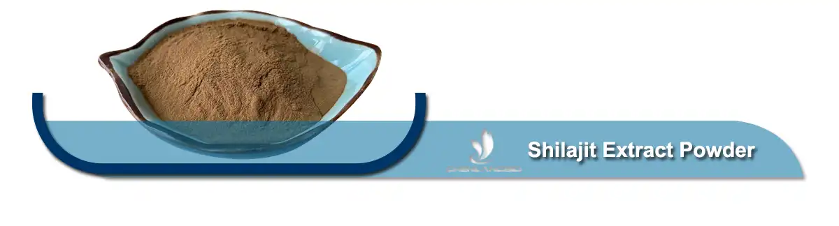 ሺላጂት ማውጣት .jpg