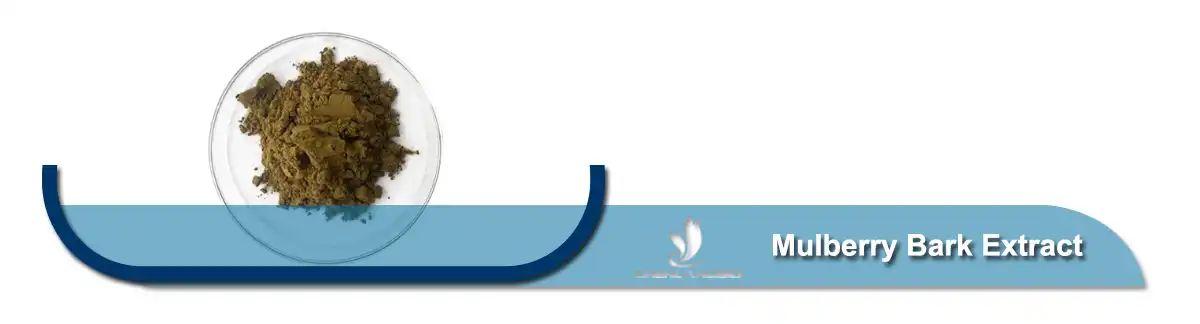 Σκόνη εκχυλίσματος φλοιού μουριάς.jpg Σκόνη εκχυλίσματος φλοιού μουριάς.jpg