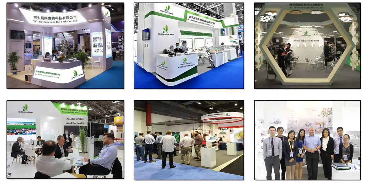 Exhibition.jpg
