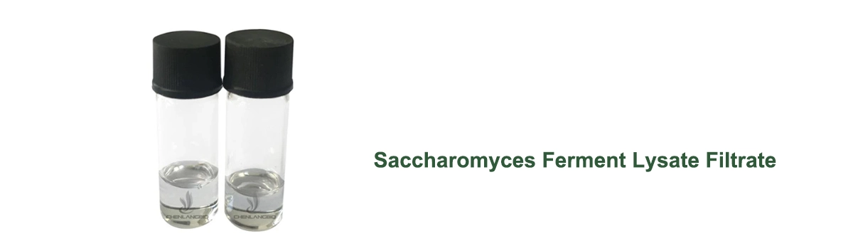 Filtrat fermentnog lizata Saccharomyces.jpg