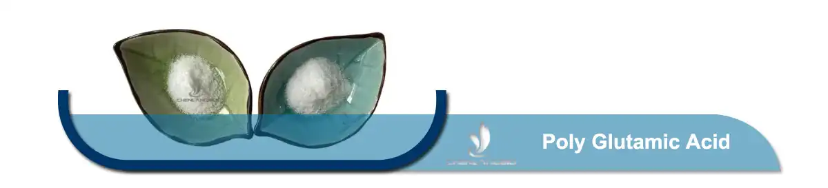 Σκόνη πολυγλουταμινικού οξέος.jpg Σκόνη πολυγλουταμινικού οξέος.jpg