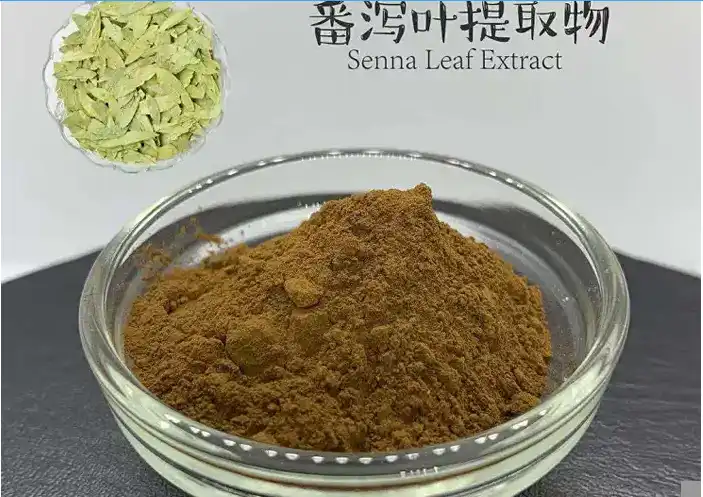 Senna-Leaf-Extract-Manufacturer