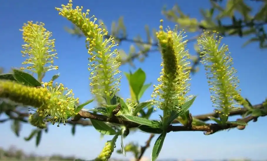 product-1-1 product-1-1