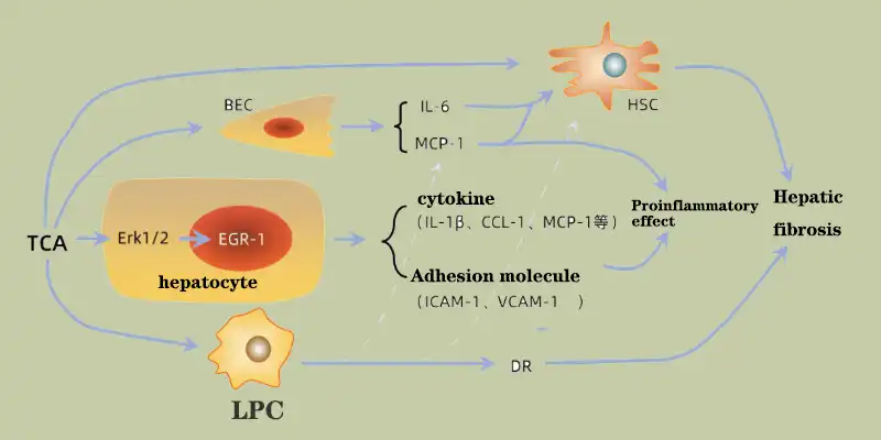 product-1-1 product-1-1