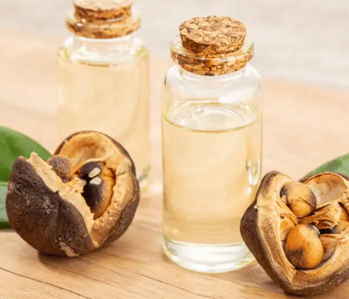 Camellia-Oleifera-Seed-Extract-supplier Camellia-Oleifera-Seed-Extract-supplier