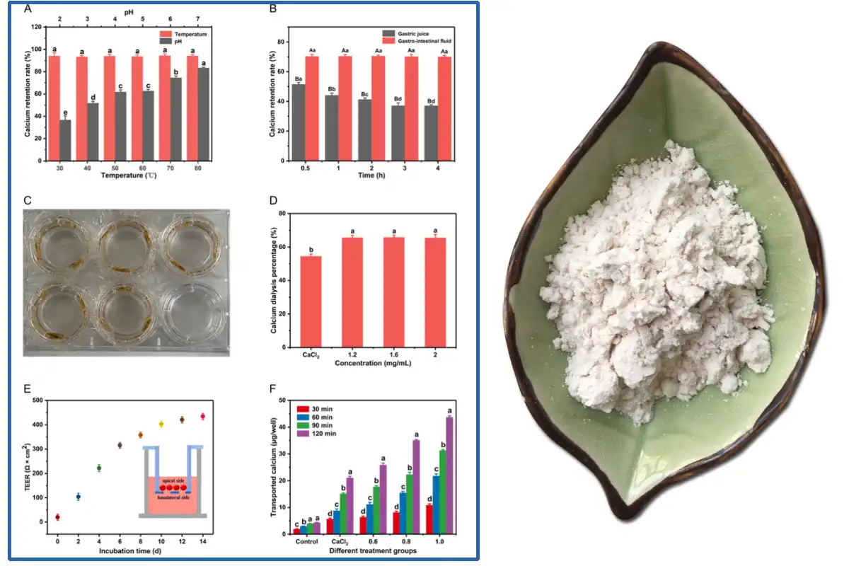 product-1-1 product-1-1