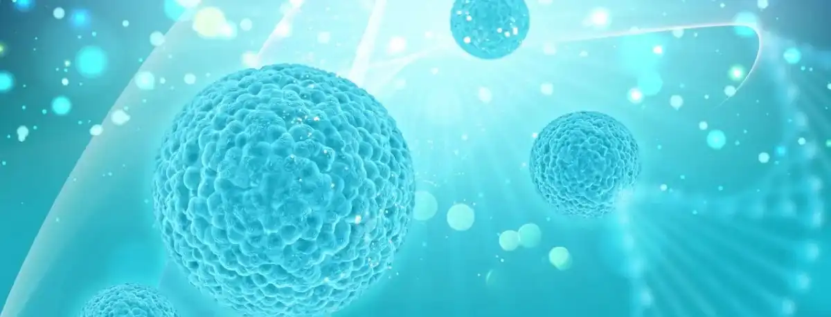 product-1-1 product-1-1