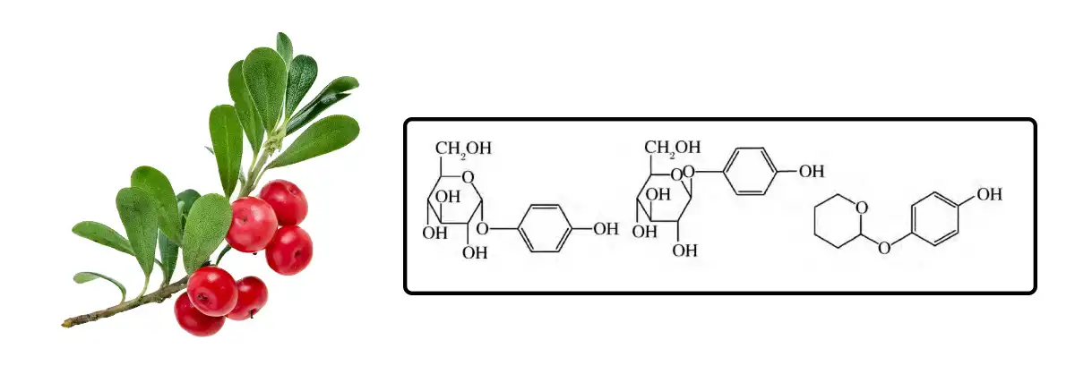 product-1-1 product-1-1