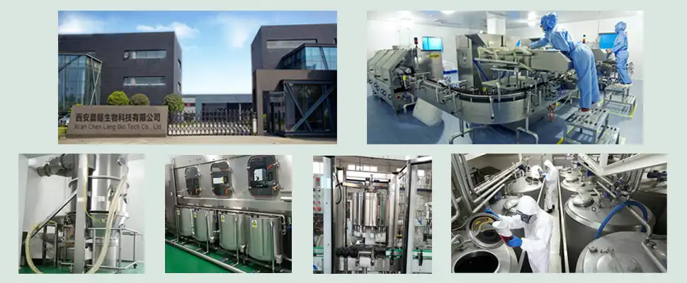 Hydrostachyline-Hydrochloride-factory Hydrostachyline-Hydrochloride-factory