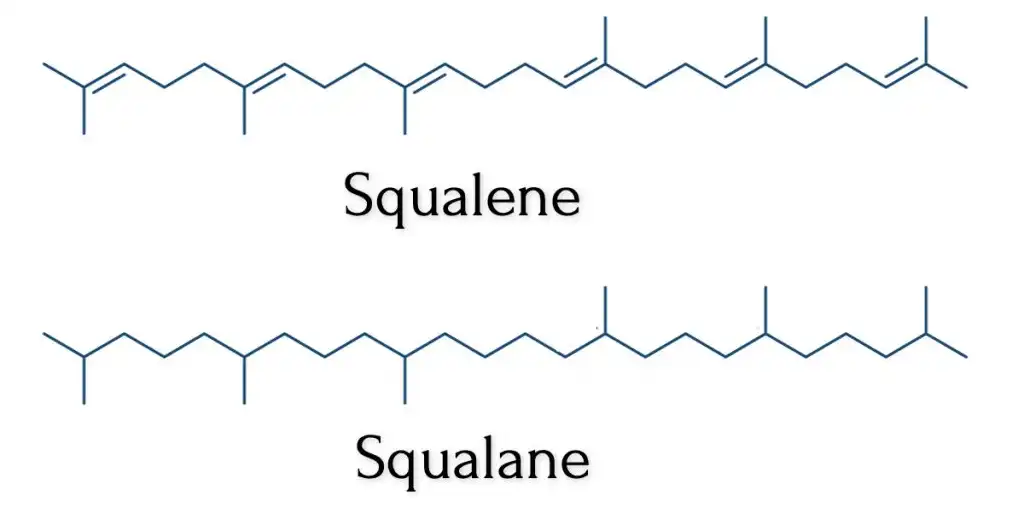 Difference-between-Squalene-and-Squalane-chemical-structures Difference-between-Squalene-and-Squalane-chemical-structures