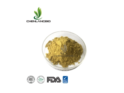 Fisetin-powder-supplier Fisetin-powder-supplier
