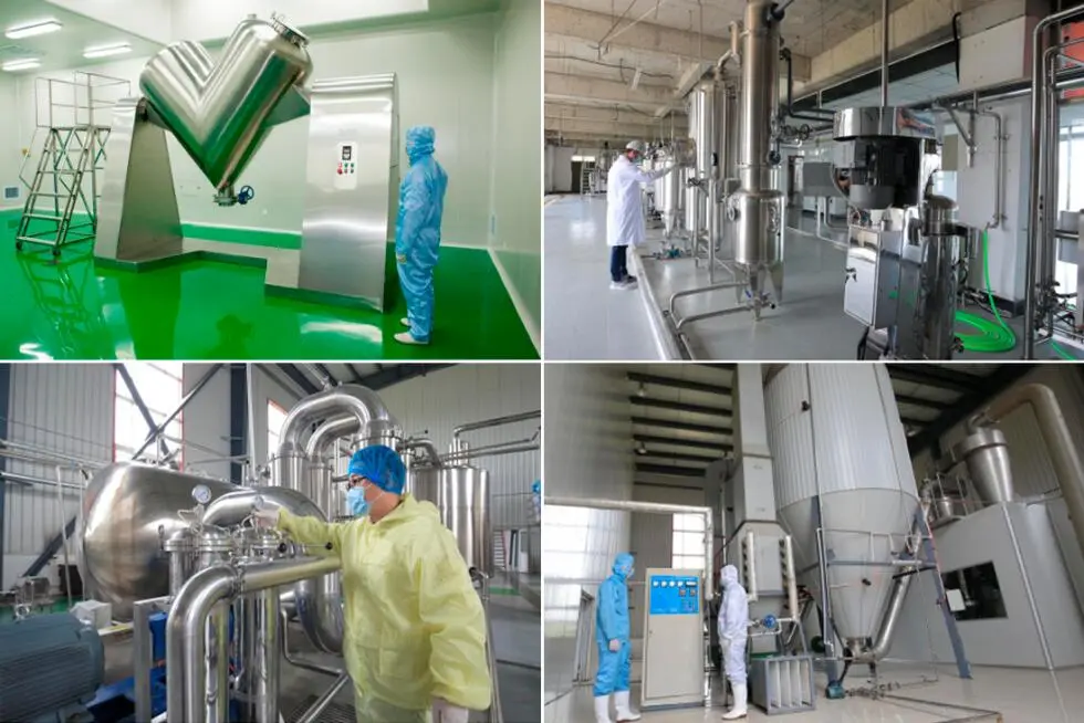 Praziquantel-powder-production-base