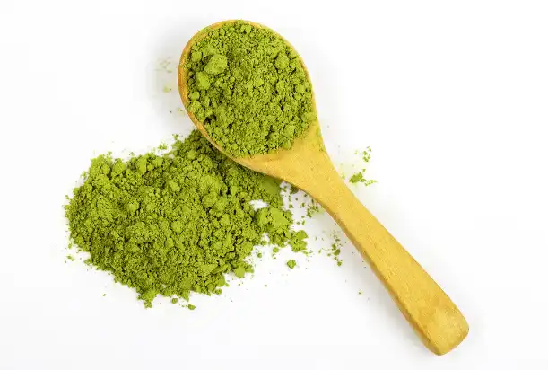 green-tea-extract-powder green-tea-extract-powder
