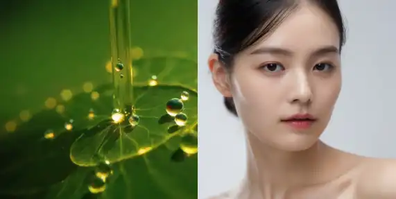 bakuchiol-manufacturer bakuchiol-manufacturer