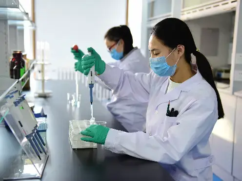 img-496-372 img-496-372