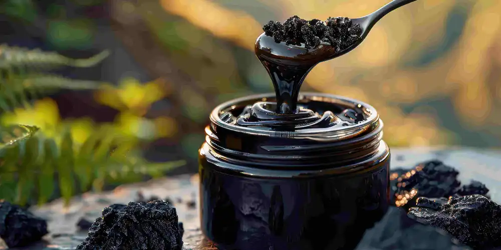 Shilajit-extract-powder Shilajit-extract-powder