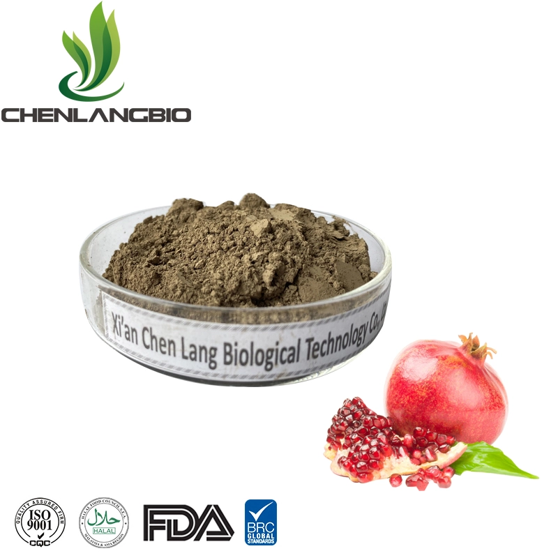 Punicalagin-Powder-supplier Punicalagin-Powder-supplier