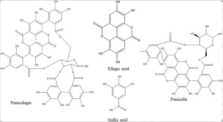 herbal-plant-extract-powderellagic-acid-powder-molecular-formula