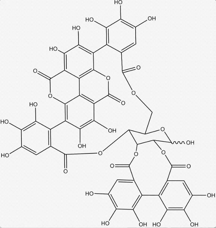 Pomegranate-Extract-powder-supplier-online