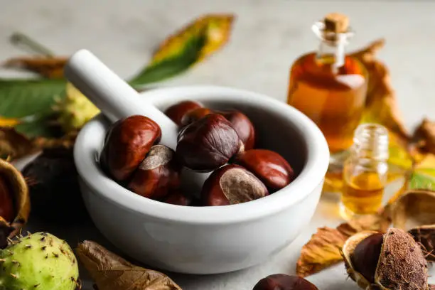 horse-chestnut-extract horse-chestnut-extract