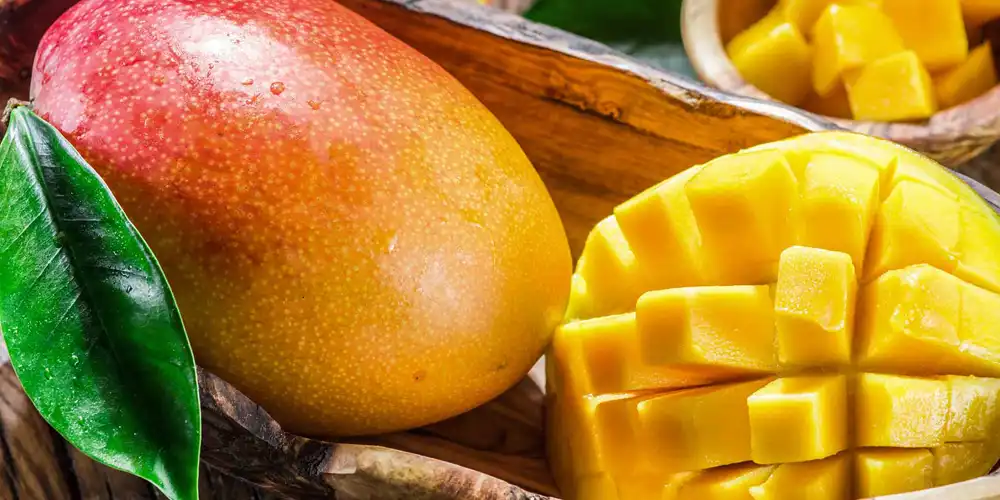 mangiferin-powder-95% mangiferin-powder-95%