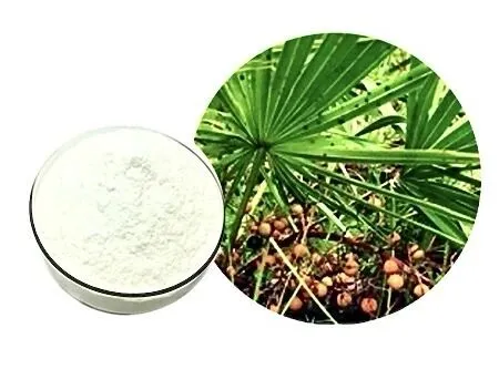 saw-palmetto-extract-powder-supplier saw-palmetto-extract-powder-supplier