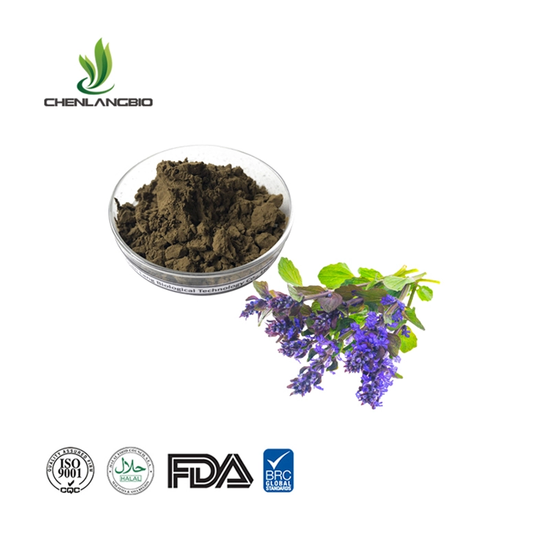 Ajuga-turkestanica-extract-powder
