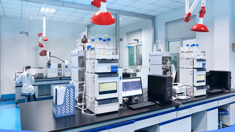 Ajuga-turkestanica-Extract-supplier-powder Ajuga-turkestanica-Extract-supplier-powder