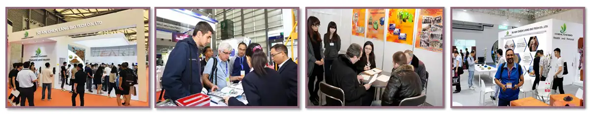 our-exhibition our-exhibition