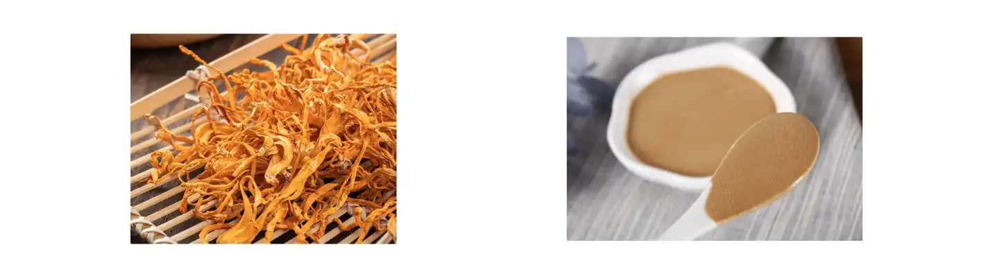 Cordyceps- Militaris-Peptide Cordyceps- Militaris-Peptide