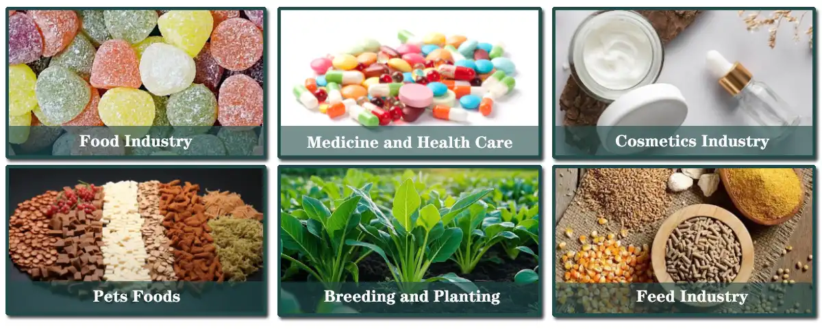 bovine-collagen- peptide-applications bovine-collagen- peptide-applications