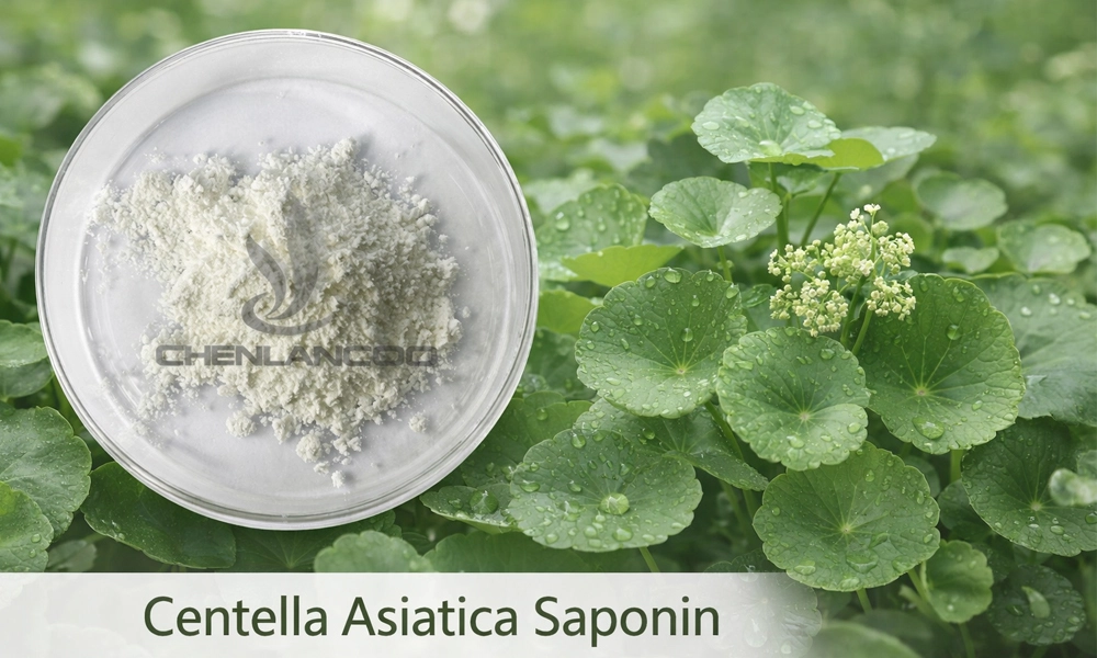 What-Not-to-Mix-with-Madecassoside