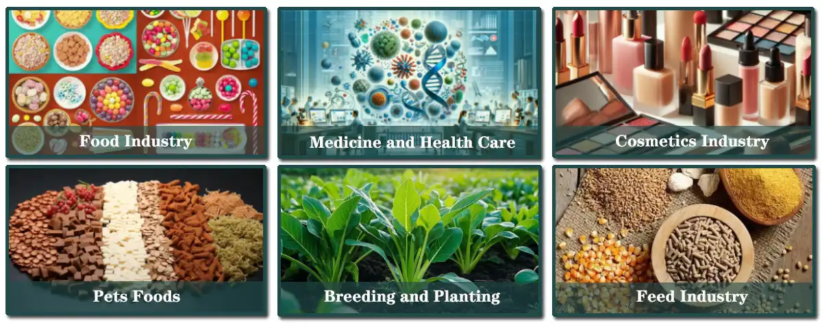 product-1-1 product-1-1