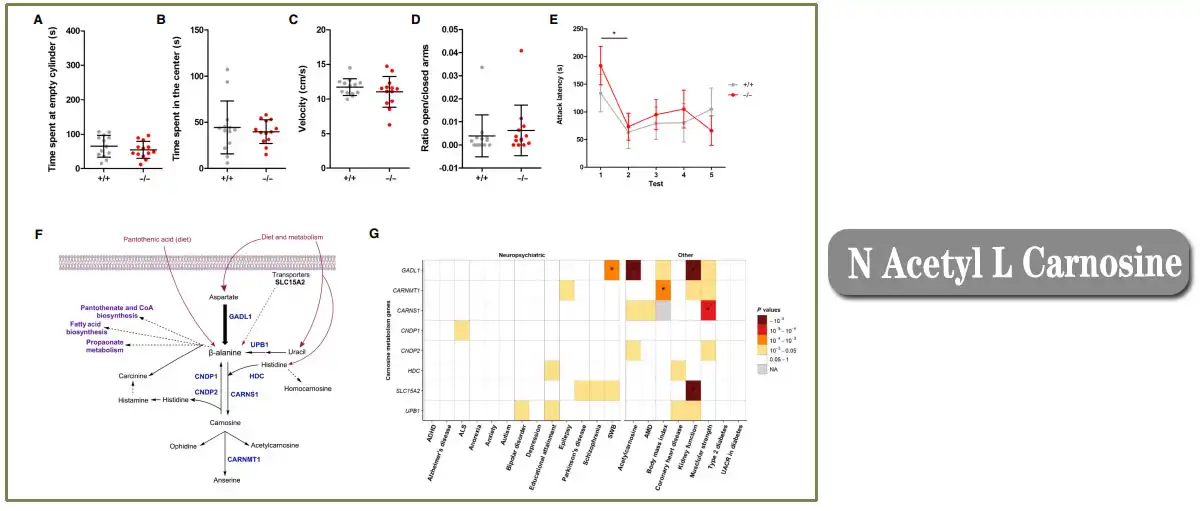 product-1-1 product-1-1