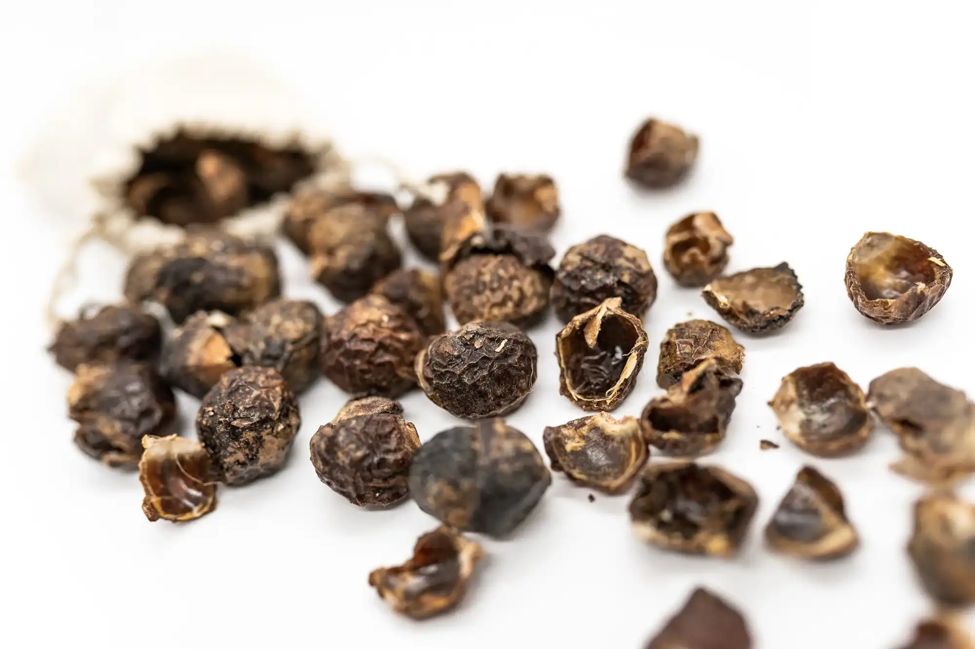 Soapnut Extract Powder: Benefits and Uses